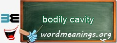 WordMeaning blackboard for bodily cavity